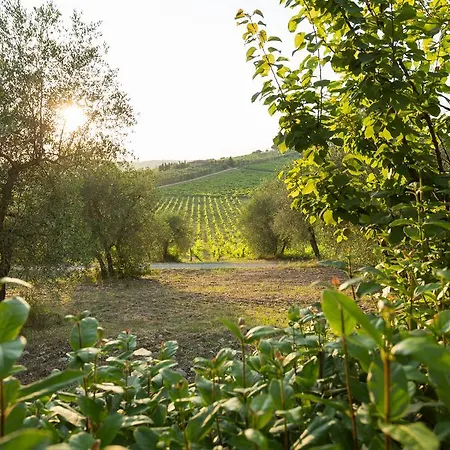 莫纳恰诺庄园酒店 Ponte A Bozzone