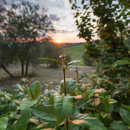 Tenuta Di Monaciano Κατάλυμα σε φάρμα