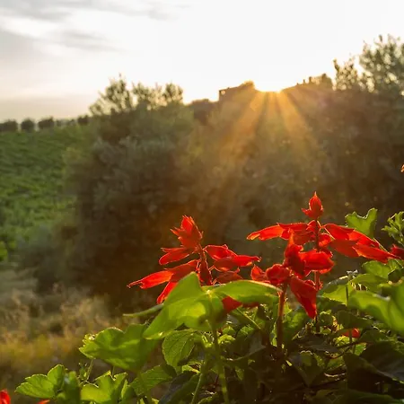 Κατάλυμα σε φάρμα Tenuta Di Monaciano