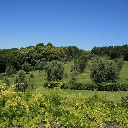 莫纳恰诺庄园酒店