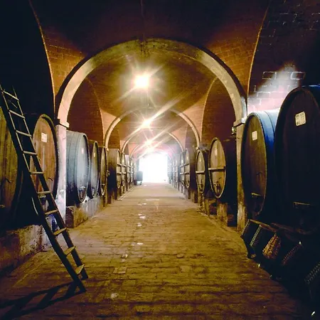 Farm stay Tenuta Di Monaciano Ponte A Bozzone