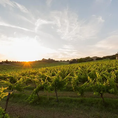 莫纳恰诺庄园酒店 Ponte A Bozzone