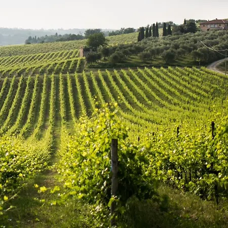 Tenuta Di Monaciano Ponte A Bozzone