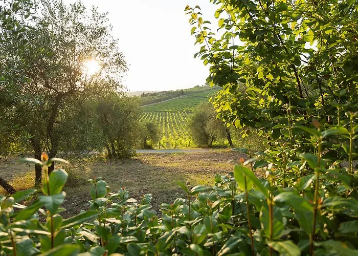Tenuta Di Monaciano Ponte A Bozzone
