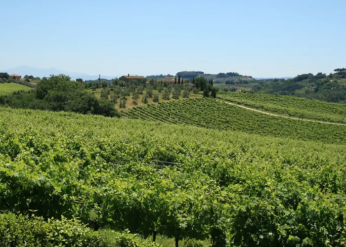 Tenuta Di Monaciano Bauernhof