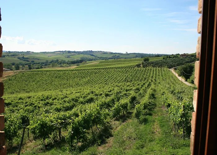 Tenuta Di Monaciano *