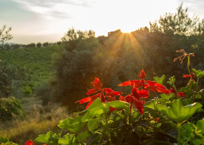 Bauernhof Tenuta Di Monaciano