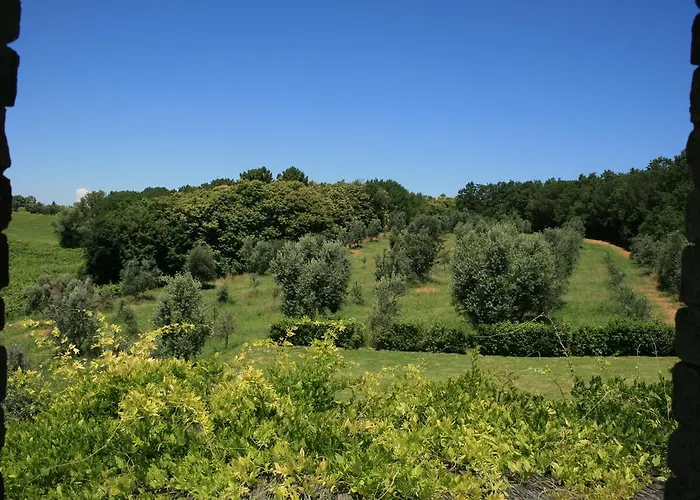 Tenuta Di Monaciano