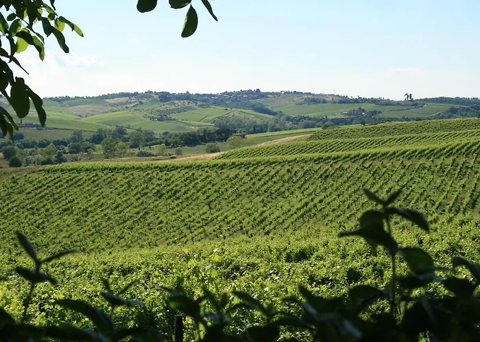 Bauernhof Tenuta Di Monaciano *