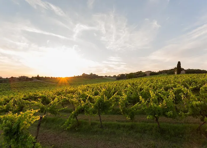 Tenuta Di Monaciano Ponte A Bozzone