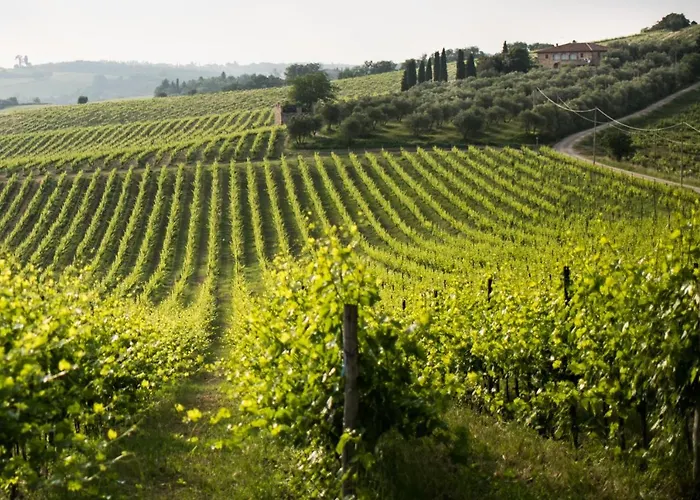 Tenuta Di Monaciano Ponte A Bozzone